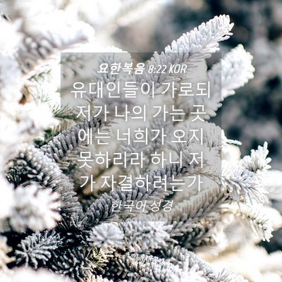 Picture 04 - 요한복음 8:22 KOR - 유대인들이 가로되 저가 나의 가는 - Bible Verse Picture