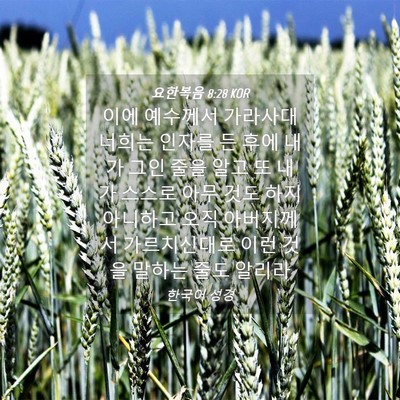 Picture 04 - 요한복음 8:28 KOR - 이에 예수께서 가라사대 너희는 - Bible Verse Picture