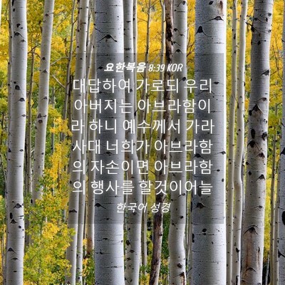 Picture 04 - 요한복음 8:39 KOR - 대답하여 가로되 우리 아버지는 - Bible Verse Picture
