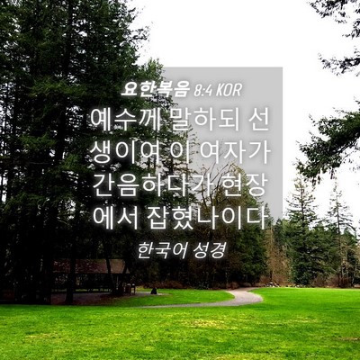 Picture 04 - 요한복음 8:4 KOR - 예수께 말하되 선생이여 이 여자가 - Bible Verse Picture