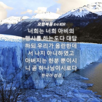 Picture 04 - 요한복음 8:41 KOR - 너희는 너희 아비의 행사를 하는도다 - Bible Verse Picture