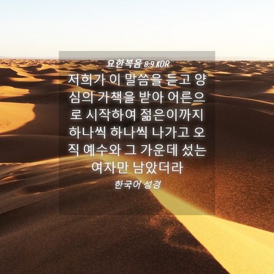 Picture 04 - 요한복음 8:9 KOR - 저희가 이 말씀을 듣고 양심의 - Bible Verse Picture