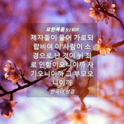 Picture 04 - 요한복음 9:2 KOR - 제자들이 물어 가로되 랍비여 이 - Bible Verse Picture