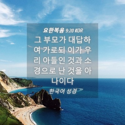 Picture 04 - 요한복음 9:20 KOR - 그 부모가 대답하여 가로되 이가 - Bible Verse Picture