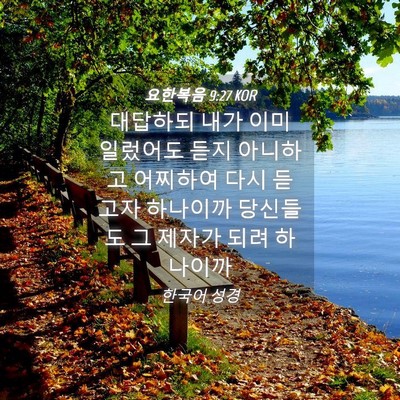 Picture 04 - 요한복음 9:27 KOR - 대답하되 내가 이미 일렀어도 듣지 - Bible Verse Picture