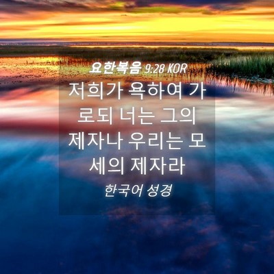 Picture 04 - 요한복음 9:28 KOR - 저희가 욕하여 가로되 너는 그의 - Bible Verse Picture