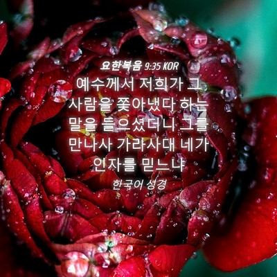 Picture 04 - 요한복음 9:35 KOR - 예수께서 저희가 그 사람을 쫓아냈다 - Bible Verse Picture