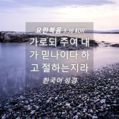 Picture 04 - 요한복음 9:38 KOR - 가로되 주여 내가 믿나이다 하고 - Bible Verse Picture