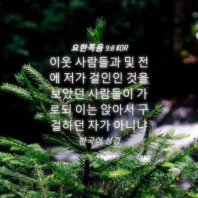 Picture 04 - 요한복음 9:8 KOR - 이웃 사람들과 및 전에 저가 걸인인 - Bible Verse Picture
