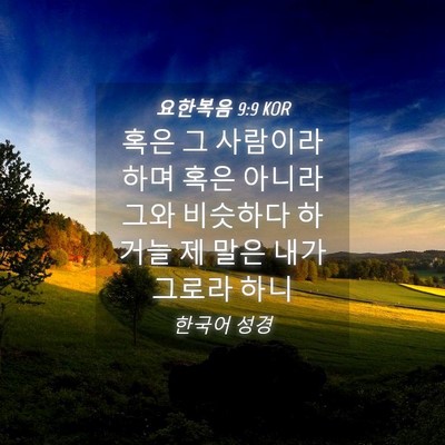 Picture 04 - 요한복음 9:9 KOR - 혹은 그 사람이라 하며 혹은 아니라 - Bible Verse Picture
