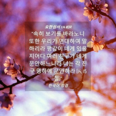 Picture 04 - 요한삼서 1:14 KOR - 