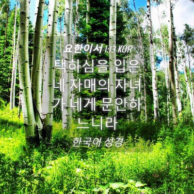 Picture 04 - 요한이서 1:13 KOR - 택하심을 입은 네 자매의 자녀가 - Bible Verse Picture