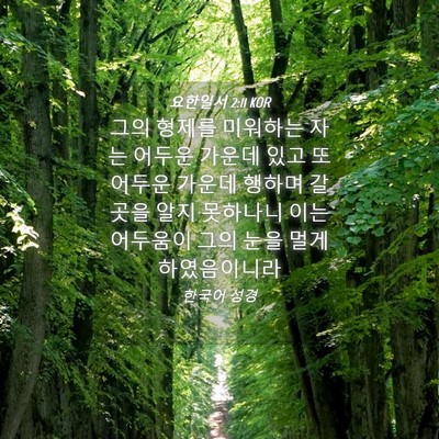 Picture 04 - 요한일서 2:11 KOR - 그의 형제를 미워하는 자는 어두운 - Bible Verse Picture