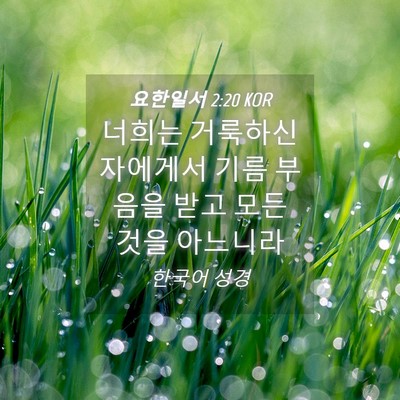 Picture 04 - 요한일서 2:20 KOR - 너희는 거룩하신 자에게서 기름 - Bible Verse Picture