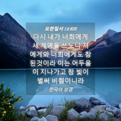 Picture 04 - 요한일서 2:8 KOR - 다시 내가 너희에게 새 계명을 - Bible Verse Picture