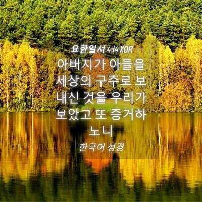 Picture 04 - 요한일서 4:14 KOR - 아버지가 아들을 세상의 구주로 - Bible Verse Picture
