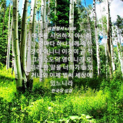 Picture 04 - 요한일서 4:3 KOR - 예수를 시인하지 아니하는 영마다 - Bible Verse Picture