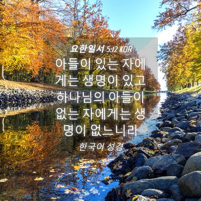 Picture 04 - 요한일서 5:12 KOR - 아들이 있는 자에게는 생명이 있고 - Bible Verse Picture