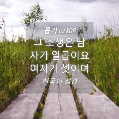 Picture 04 - 욥기 1:2 KOR - 그 소생은 남자가 일곱이요 여자가 - Bible Verse Picture