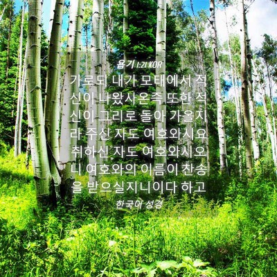 Picture 04 - 욥기 1:21 KOR - 가로되 내가 모태에서 적신이 - Bible Verse Picture