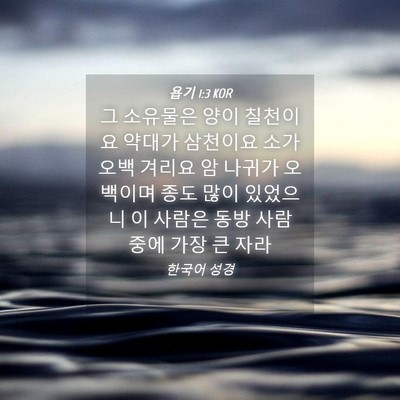 Picture 04 - 욥기 1:3 KOR - 그 소유물은 양이 칠천이요 약대가 - Bible Verse Picture