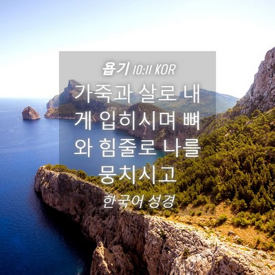 Picture 04 - 욥기 10:11 KOR - 가죽과 살로 내게 입히시며 뼈와 - Bible Verse Picture