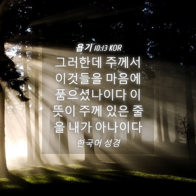 Picture 04 - 욥기 10:13 KOR - 그러한데 주께서 이것들을 마음에 - Bible Verse Picture