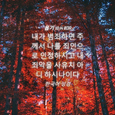 Picture 04 - 욥기 10:14 KOR - 내가 범죄하면 주께서 나를 죄인으로 - Bible Verse Picture