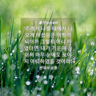Picture 04 - 욥기 10:18 KOR - 