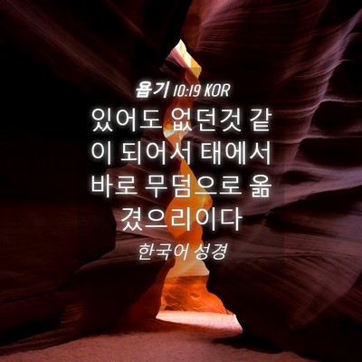 Picture 04 - 욥기 10:19 KOR - 있어도 없던것 같이 되어서 태에서 - Bible Verse Picture