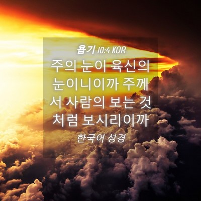 Picture 04 - 욥기 10:4 KOR - 주의 눈이 육신의 눈이니이까 주께서 - Bible Verse Picture