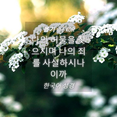 Picture 04 - 욥기 10:6 KOR - 나의 허물을 찾으시며 나의 죄를 - Bible Verse Picture