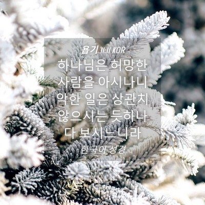 Picture 04 - 욥기 11:11 KOR - 하나님은 허망한 사람을 아시나니 - Bible Verse Picture