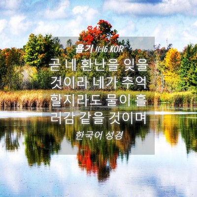 Picture 04 - 욥기 11:16 KOR - 곧 네 환난을 잊을 것이라 네가 - Bible Verse Picture