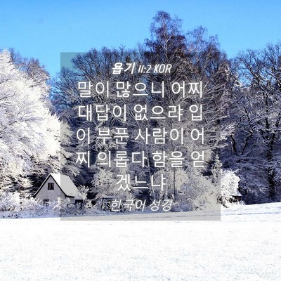 Picture 04 - 욥기 11:2 KOR - 말이 많으니 어찌 대답이 없으랴 - Bible Verse Picture