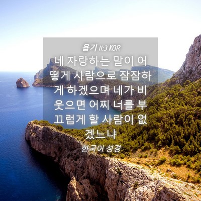 Picture 04 - 욥기 11:3 KOR - 네 자랑하는 말이 어떻게 사람으로 - Bible Verse Picture