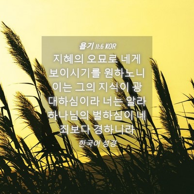 Picture 04 - 욥기 11:6 KOR - 지혜의 오묘로 네게 보이시기를 - Bible Verse Picture