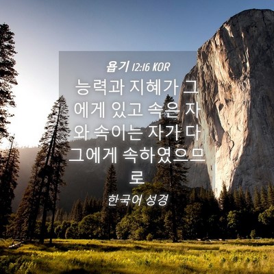 Picture 04 - 욥기 12:16 KOR - 능력과 지혜가 그에게 있고 속은 - Bible Verse Picture