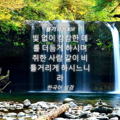 Picture 04 - 욥기 12:25 KOR - 빛 없이 캄캄한 데를 더듬게 하시며 - Bible Verse Picture