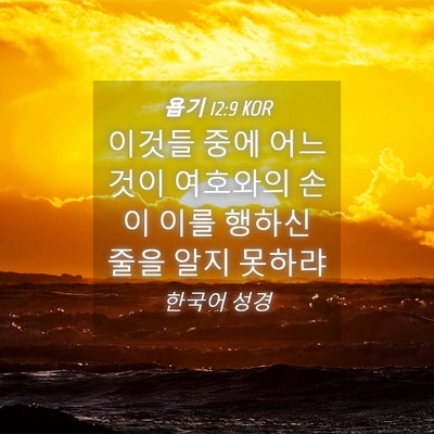 Picture 04 - 욥기 12:9 KOR - 이것들 중에 어느 것이 여호와의 - Bible Verse Picture