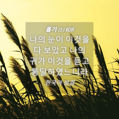 Picture 04 - 욥기 13:1 KOR - 나의 눈이 이것을 다 보았고 나의 - Bible Verse Picture