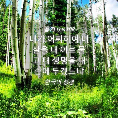 Picture 04 - 욥기 13:14 KOR - 내가 어찌하여 내 살을 내 이로 물고 - Bible Verse Picture