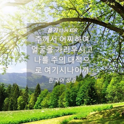 Picture 04 - 욥기 13:24 KOR - 주께서 어찌하여 얼굴을 가리우시고 - Bible Verse Picture