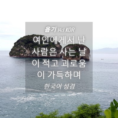 Picture 04 - 욥기 14:1 KOR - 여인에게서 난 사람은 사는 날이 - Bible Verse Picture