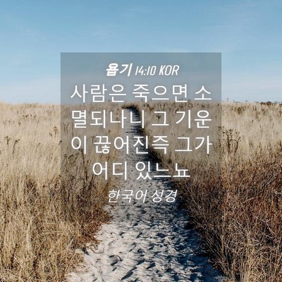 Picture 04 - 욥기 14:10 KOR - 사람은 죽으면 소멸되나니 그 기운이 - Bible Verse Picture