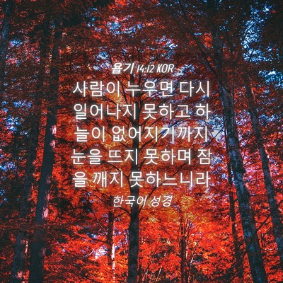 Picture 04 - 욥기 14:12 KOR - 사람이 누우면 다시 일어나지 못하고 - Bible Verse Picture