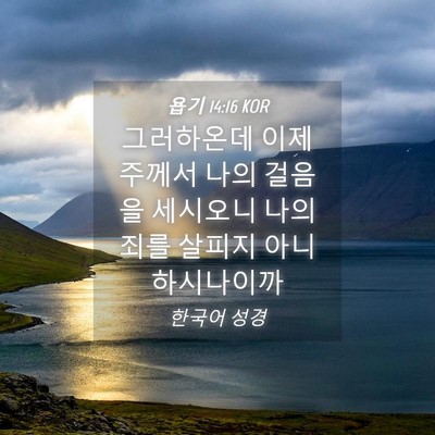 Picture 04 - 욥기 14:16 KOR - 그러하온데 이제 주께서 나의 걸음을 - Bible Verse Picture