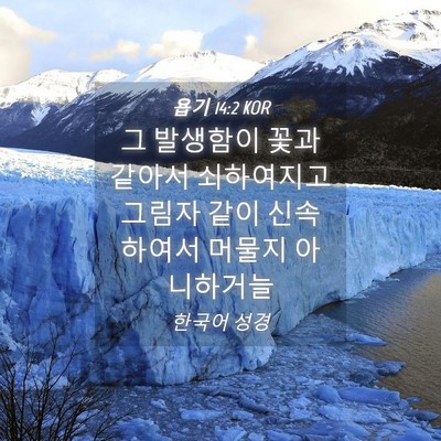 Picture 04 - 욥기 14:2 KOR - 그 발생함이 꽃과 같아서 쇠하여지고 - Bible Verse Picture