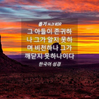 Picture 04 - 욥기 14:21 KOR - 그 아들이 존귀하나 그가 알지 - Bible Verse Picture