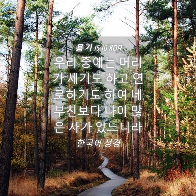 Picture 04 - 욥기 15:10 KOR - 우리 중에는 머리가 세기도 하고 - Bible Verse Picture